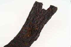 Foto von Eisenband (NHMW-PRAE-002378)